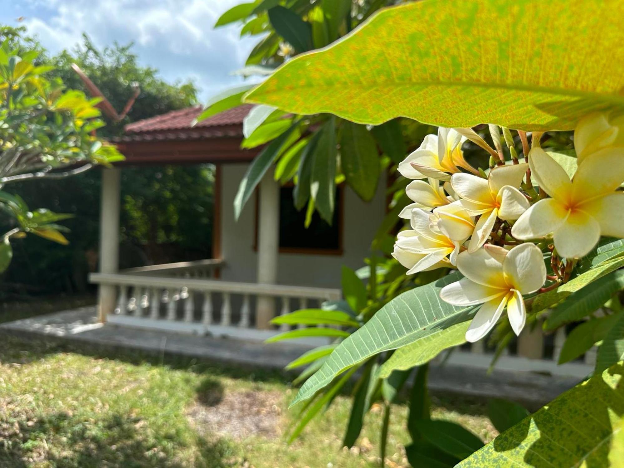 Samui Garden Resort Bang Rak Beach  Exterior photo