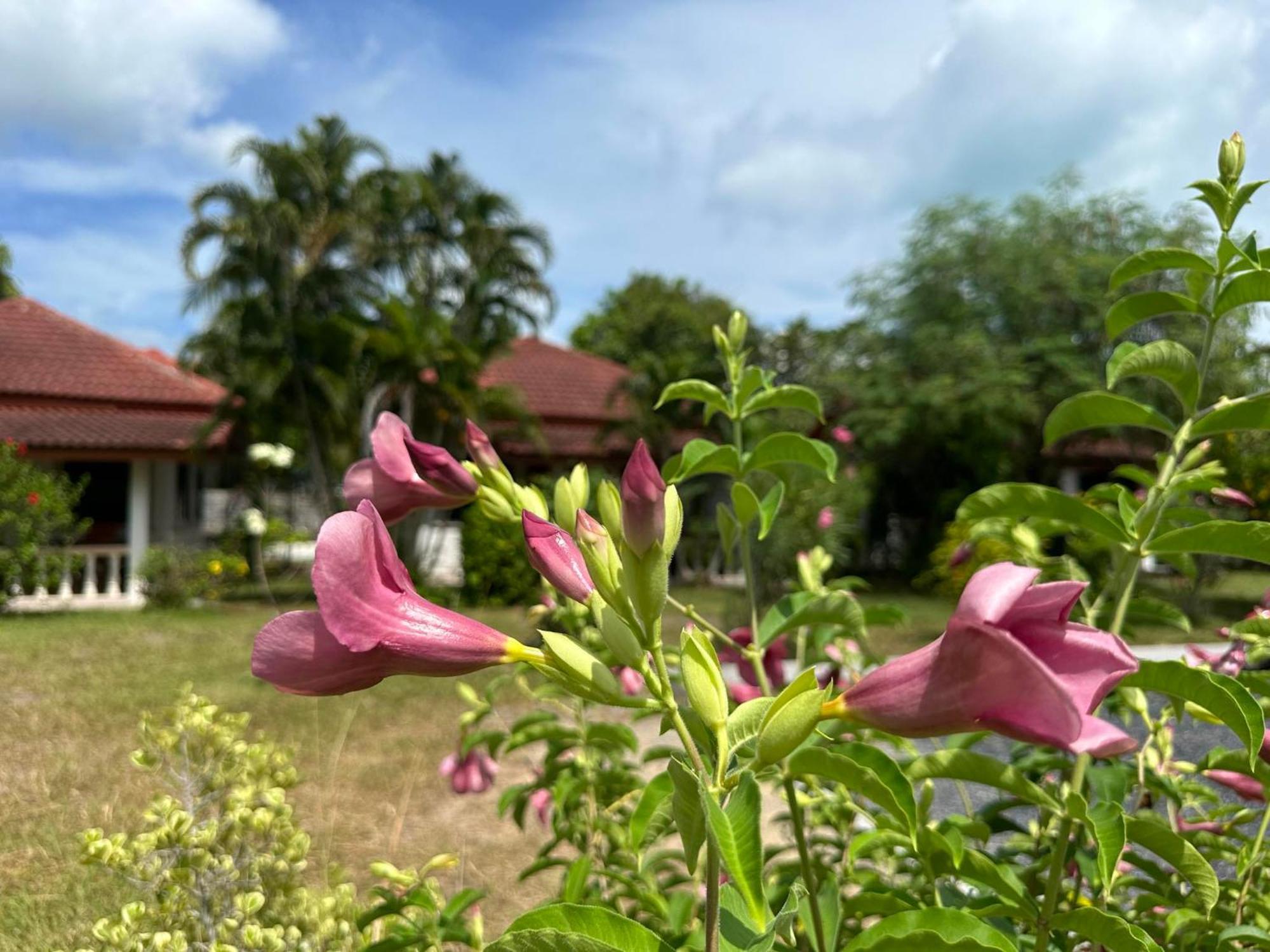 Samui Garden Resort Bang Rak Beach  Exterior photo